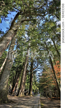 高野山/奧之院（和歌山縣高野町） 98403398