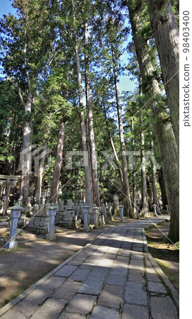 高野山/奧之院（和歌山縣高野町） 98403400