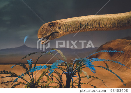 Exhibits of cool dinosaur and extinct animal skeleton specimens and fossils 98403408
