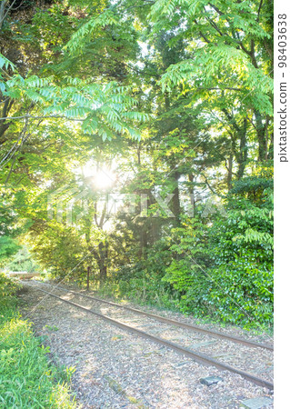 Abandoned line trace: Fresh green and sunbeams walk (former Kyukokutetsu Kurayoshi Line) Abandoned line trace: Fresh green and sunbeams walk (former Kyukokutetsu Kurayoshi Line) 98403638