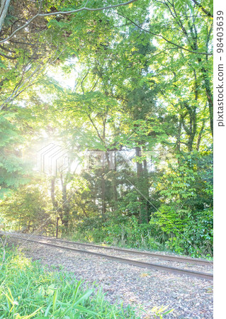 Abandoned line trace: Fresh green and sunbeams walk (former Kyukokutetsu Kurayoshi Line) 98403639