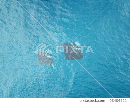 Manta ray drone view at Manta road in Pohnpei, Micronesia. You can meet them by scuba diving. 98404321
