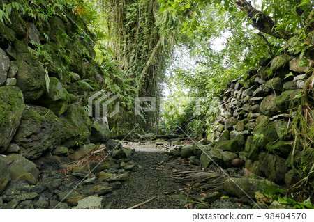 Lelu Ruins Historic Park at Kosrae, Federated States of Micronesia. 98404570