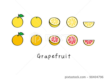 Simple grapefruit illustration set 98404796
