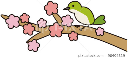 A nightingale perched on a plum branch 98404819