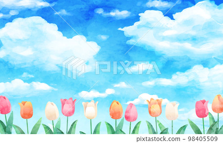 水彩藍天和郁金香田的矢量圖解背景 98405509