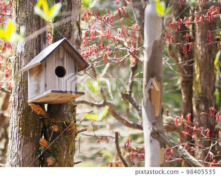 鳥的巢箱 98405535