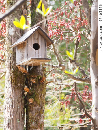 鳥的巢箱 98405536