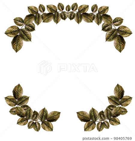 Watercolor rose green leaf vintage botanical borders. Design for Valentine's Day, wedding, mother's day, birthday, stickers. Elements isolated on white background. Watercolor rose green leaf vintage botanical borders. Design for Valentine's Day, wedding, mother's day, birthday, stickers. Elements isolated on white background. 98405769
