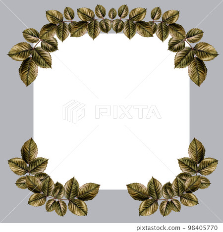 Watercolor hand drawn green rose leaves vintage botanical frame. Design for Valentine's Day, wedding, mother's day, birthday, stickers. Elements isolated on white background. Watercolor hand drawn green rose leaves vintage botanical frame. Design for Valentine's Day, wedding, mother's day, birthday, stickers. Elements isolated on white background. 98405770