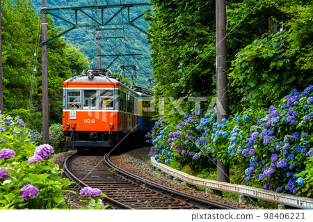 函館登山鐵道的繡球花列車 98406221