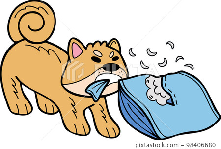 Hand Drawn Shiba Inu Dog biting pillow illustration in doodle style Hand Drawn Shiba Inu Dog biting pillow illustration in doodle style 98406680