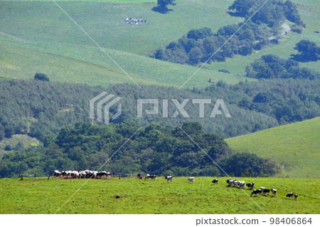 A large panorama ranch with a magnificent view of the Tokachi Plain!! 98406864