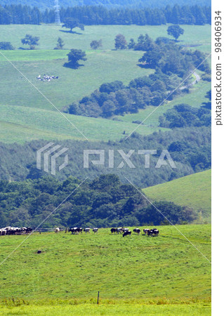 A large panorama ranch with a magnificent view of the Tokachi Plain!! 98406934