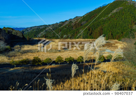 Evening view of the Nunome Dam in Nara The sky over the downstream of the dam lake beyond the withered Japanese pampas grass (4) Evening view of the Nunome Dam in Nara The sky over the downstream of the dam lake beyond the withered Japanese pampas grass (4) 98407037