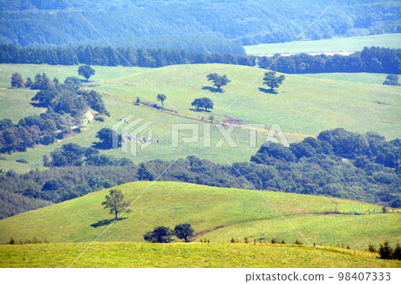 A large panorama ranch with a magnificent view of the Tokachi Plain!! 98407333