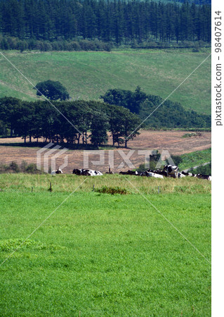 A large panorama ranch with a magnificent view of the Tokachi Plain!! A large panorama ranch with a magnificent view of the Tokachi Plain!! 98407614