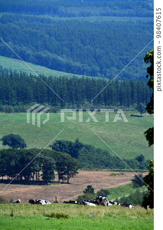 A large panorama ranch with a magnificent view of the Tokachi Plain!! A large panorama ranch with a magnificent view of the Tokachi Plain!! 98407615