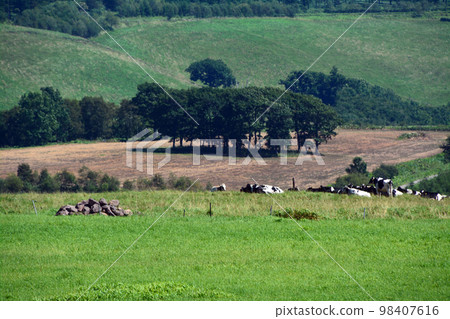 A large panorama ranch with a magnificent view of the Tokachi Plain!! A large panorama ranch with a magnificent view of the Tokachi Plain!! 98407616