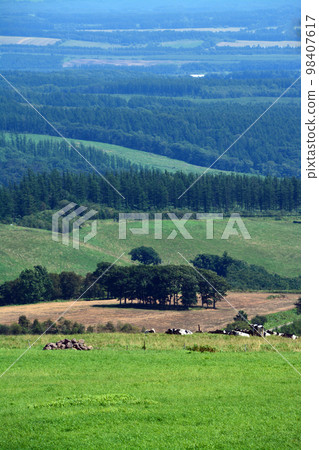 A large panorama ranch with a magnificent view of the Tokachi Plain!! A large panorama ranch with a magnificent view of the Tokachi Plain!! 98407617