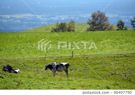 A large panorama ranch with a magnificent view of the Tokachi Plain!! A large panorama ranch with a magnificent view of the Tokachi Plain!! 98407790