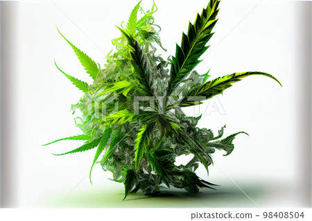 marijuana plant flower 98408504