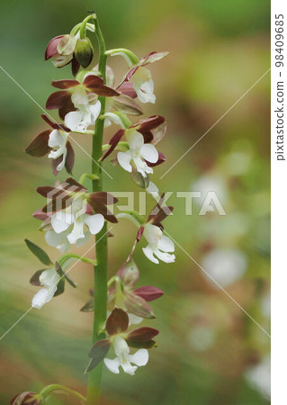 Ebene Ebene 98409685