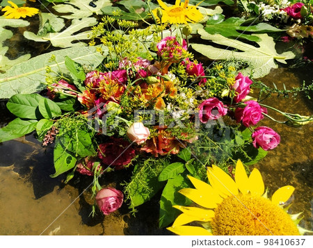 Yellow decorative sunflowers, pink and red roses in a bouquet floating in the water of a pond. Plucked buds as decoration for a summer holiday. Ivan Kupala, summer solstice. Harvest festival. 98410637