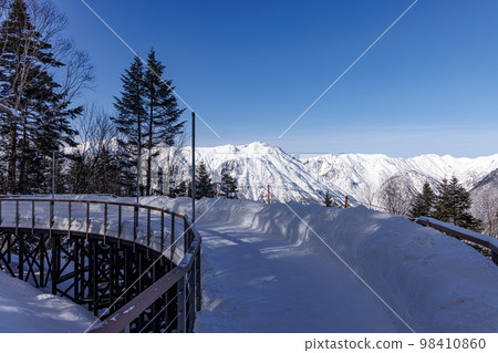 頂層森林雪景 98410860