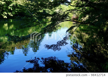 輕井澤雲場池塘景觀水鏡 輕井澤雲場池塘景觀水鏡 98412714