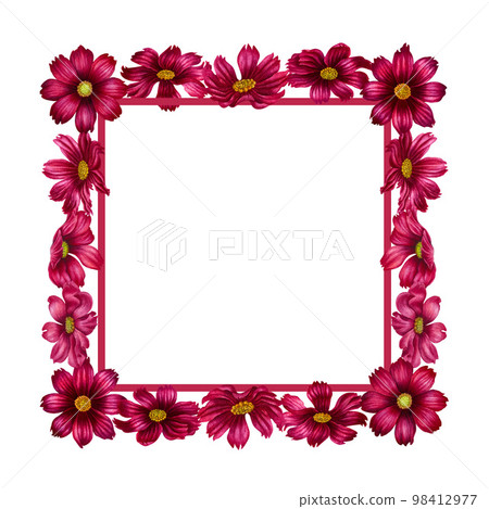 Watercolor hand drawn cosmea flower square frame in trendy color viva magenta. Elements isolated on white background 98412977