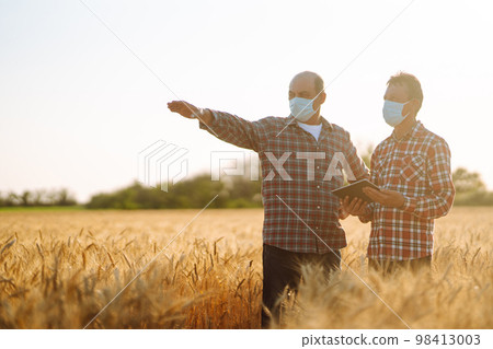 Farmers in sterile medical mask using digital tablet in field of wheat. Harvesting concept. 98413003