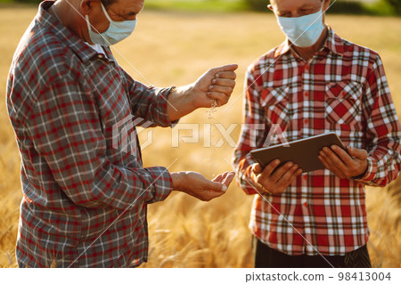 Farmers in sterile medical mask using digital tablet in field of wheat. Harvesting concept. 98413004
