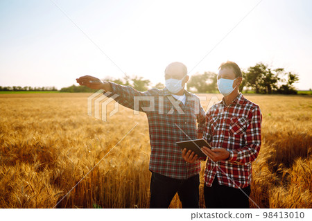 Farmers in sterile medical mask using digital tablet in field of wheat. Harvesting concept. 98413010
