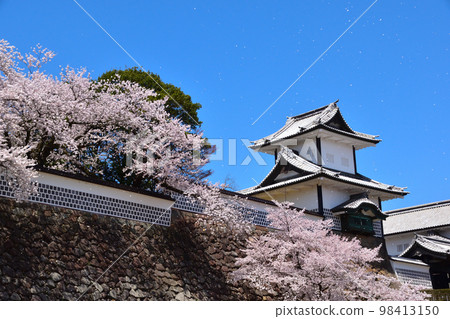 Sakura view, Kanazawa castle, Ishikawa gate 98413150