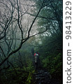 Ishizuchi Mountain Trail 98413229