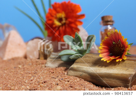 Orange Flower on Petrified Wood and Crystals on Australian Red Sand 98413657