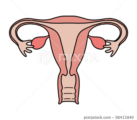 uterus (no letters) 98413840