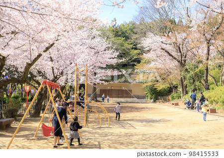 Komaki City Komakiyama Historical Park Sakura no Baba 98415533