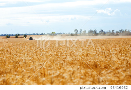 Time to harvest! Beautiful view of the work of the combine harvesting wheat. Harvester machine. Time to harvest! Beautiful view of the work of the combine harvesting wheat. Harvester machine. 98416982