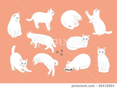 一隻白貓的各種姿勢的插圖 98418964