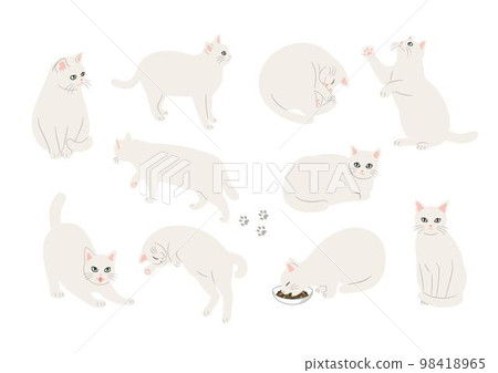 一隻白貓的各種姿勢的插圖 98418965