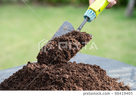 Hand holding peat moss organic matter improve soil for agriculture organic plant growing, ecology concept. Hand holding peat moss organic matter improve soil for agriculture organic plant growing, ecology concept. 98419405