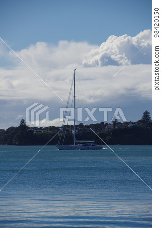 Yachts on the coast of Auckland, New Zealand 98420150