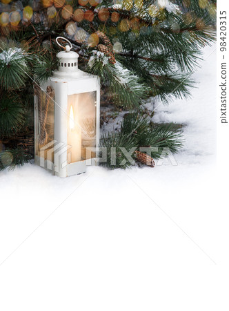 Glowing lantern under fir tree in the forest Glowing lantern under fir tree in the forest 98420315
