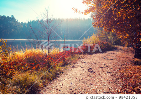 Hiking trail along the forest lake in autumn 98421355