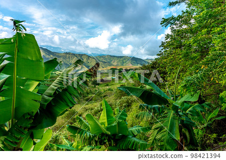 nature in the mountain landscape of Colombia nature in the mountain landscape of Colombia 98421394