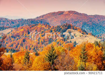 Autumn in the mountains. View of the mountains in autumn 98421711