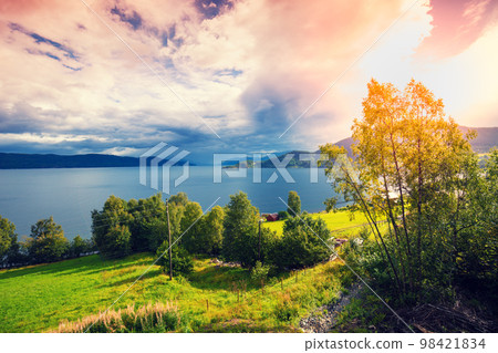 View of the fjord at sunset. Meadow on the seashore View of the fjord at sunset. Meadow on the seashore 98421834
