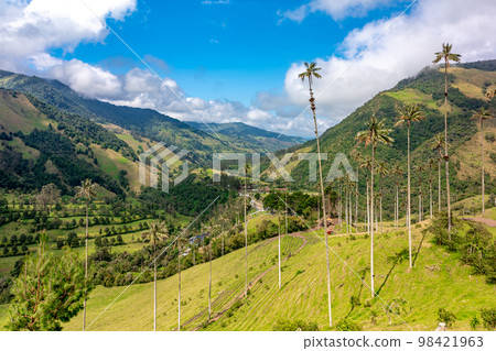 Cocora palm valley in Colombia in South America 98421963